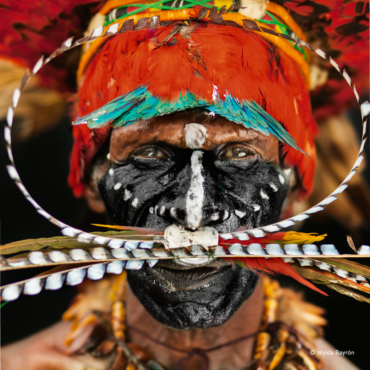 Papua New Guinea, Highlands village, Initiation ceremony, man covered in white  body paint, Stock Photo, Picture And Rights Managed Image. Pic.  PAC-47033-30021-26