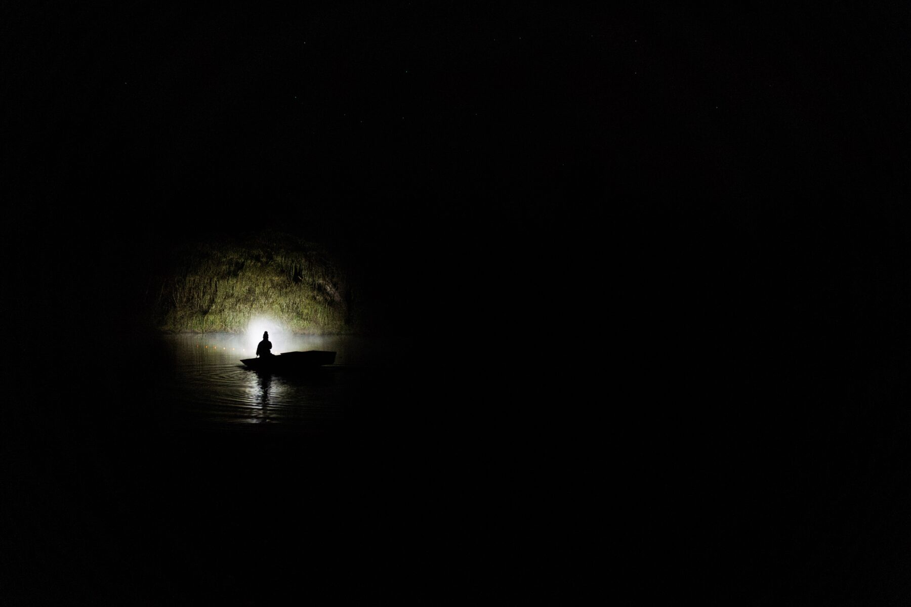 Drop Bear' scratch marks in Witchcliffe cave shed new light on