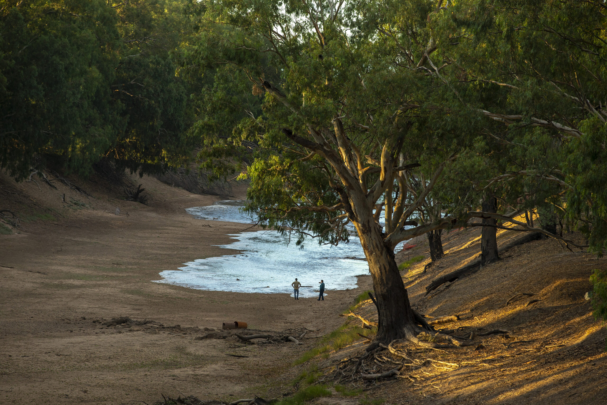 Getting the Murray–Darling Basin Plan back on track