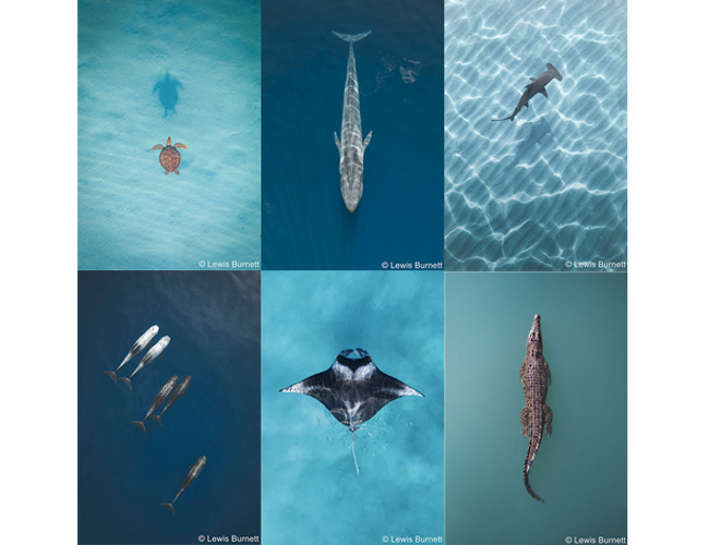 The story behind the photo: ‘Aerial Oceans’ by Lewis Burnett