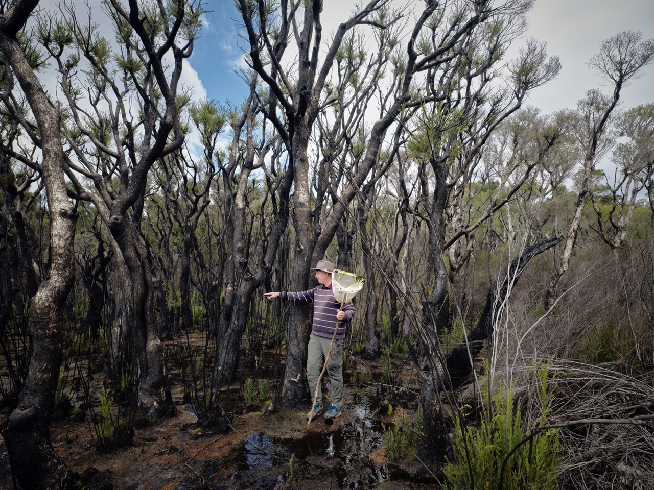 https://www.australiangeographic.com.au/wp-content/uploads/2023/12/BIOBLITZ_6-Large.jpeg