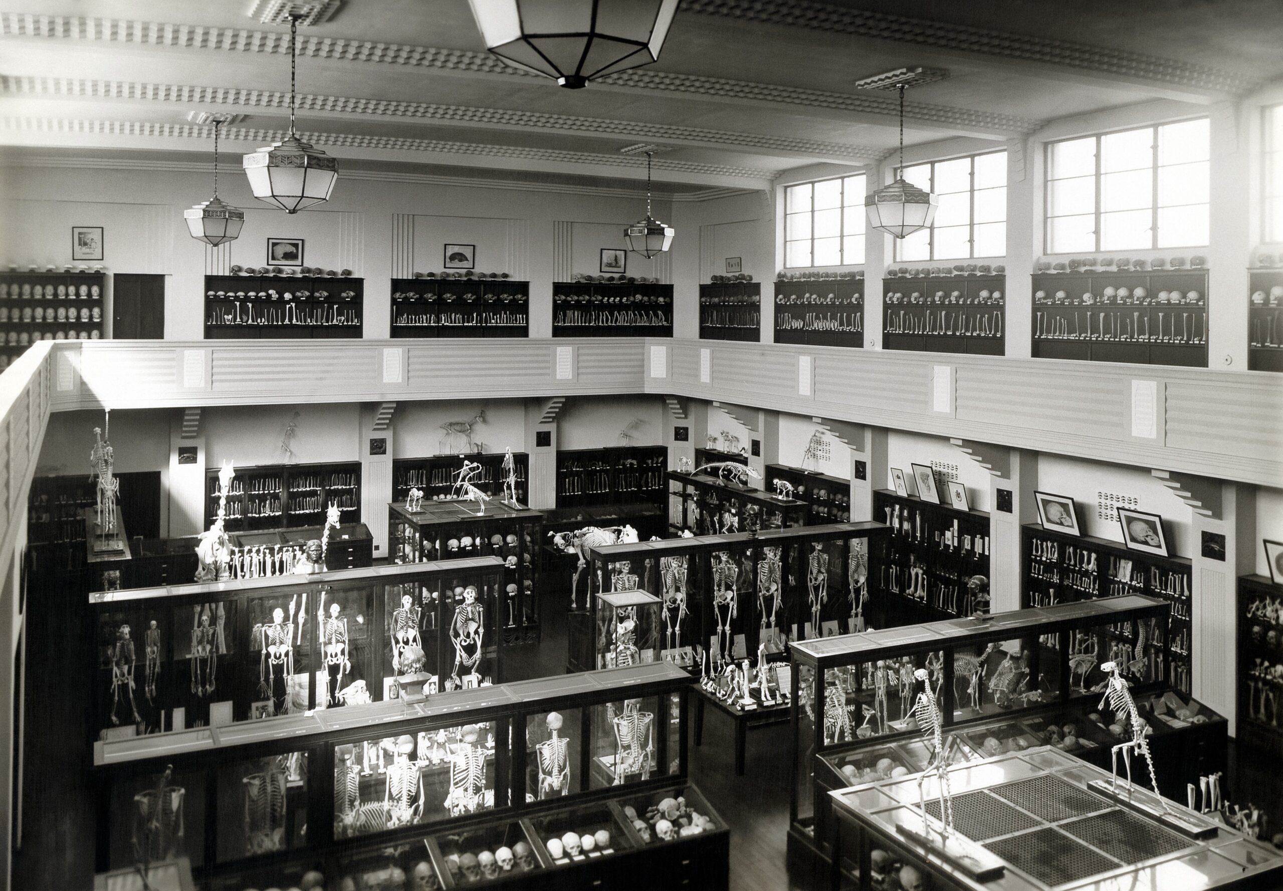 The macabre history of Canberra’s ‘haunted’ NFSA building