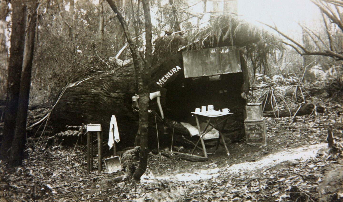 The man who lived in a log