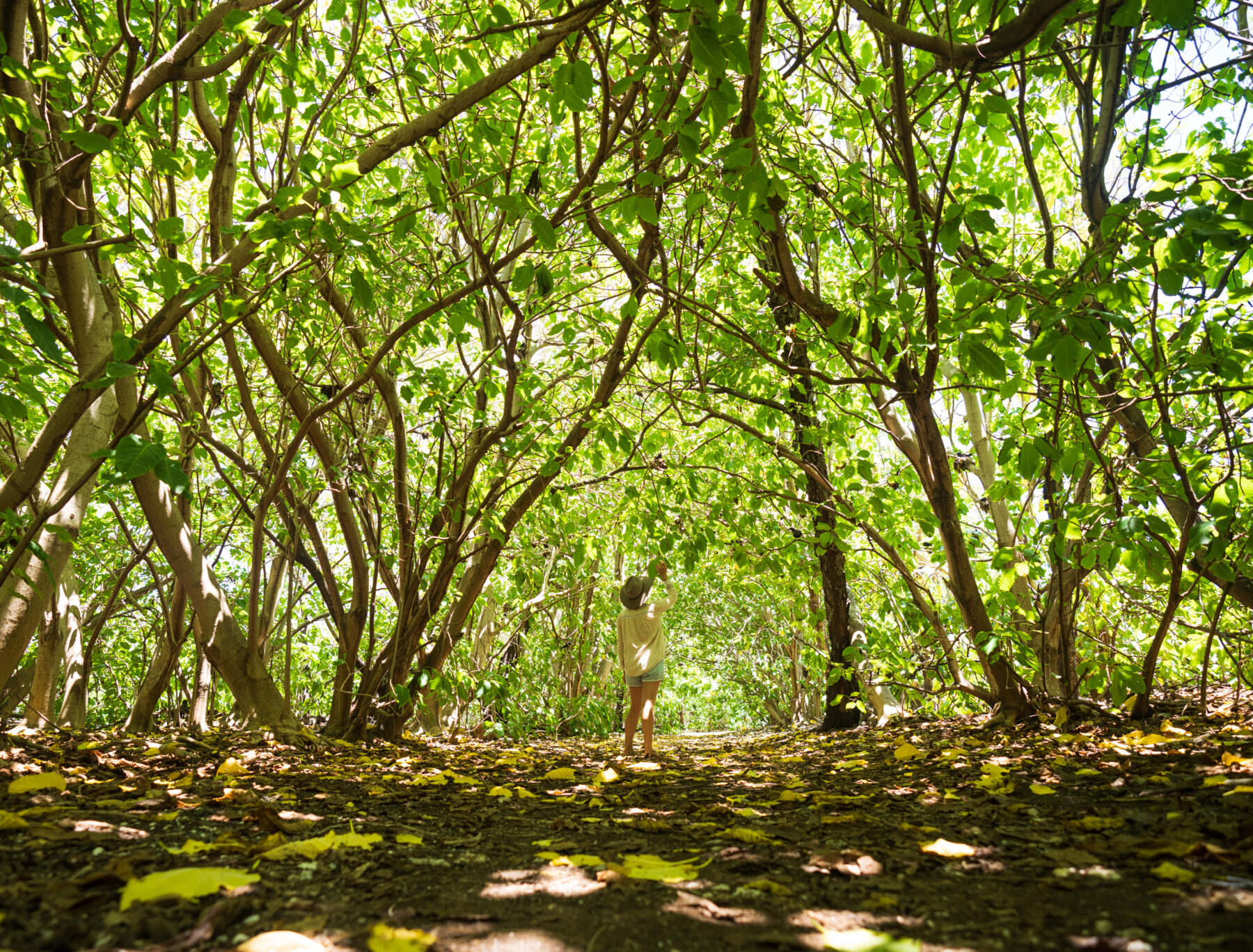 The storytellers of the Great Barrier Reef