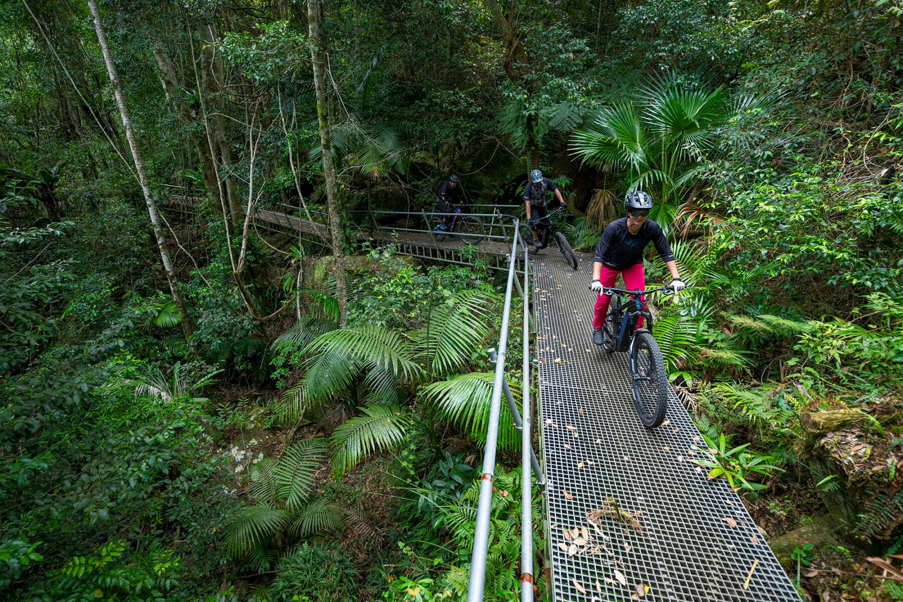 Welcome to Wonderland: Exploring Lake Macquarie, NSW