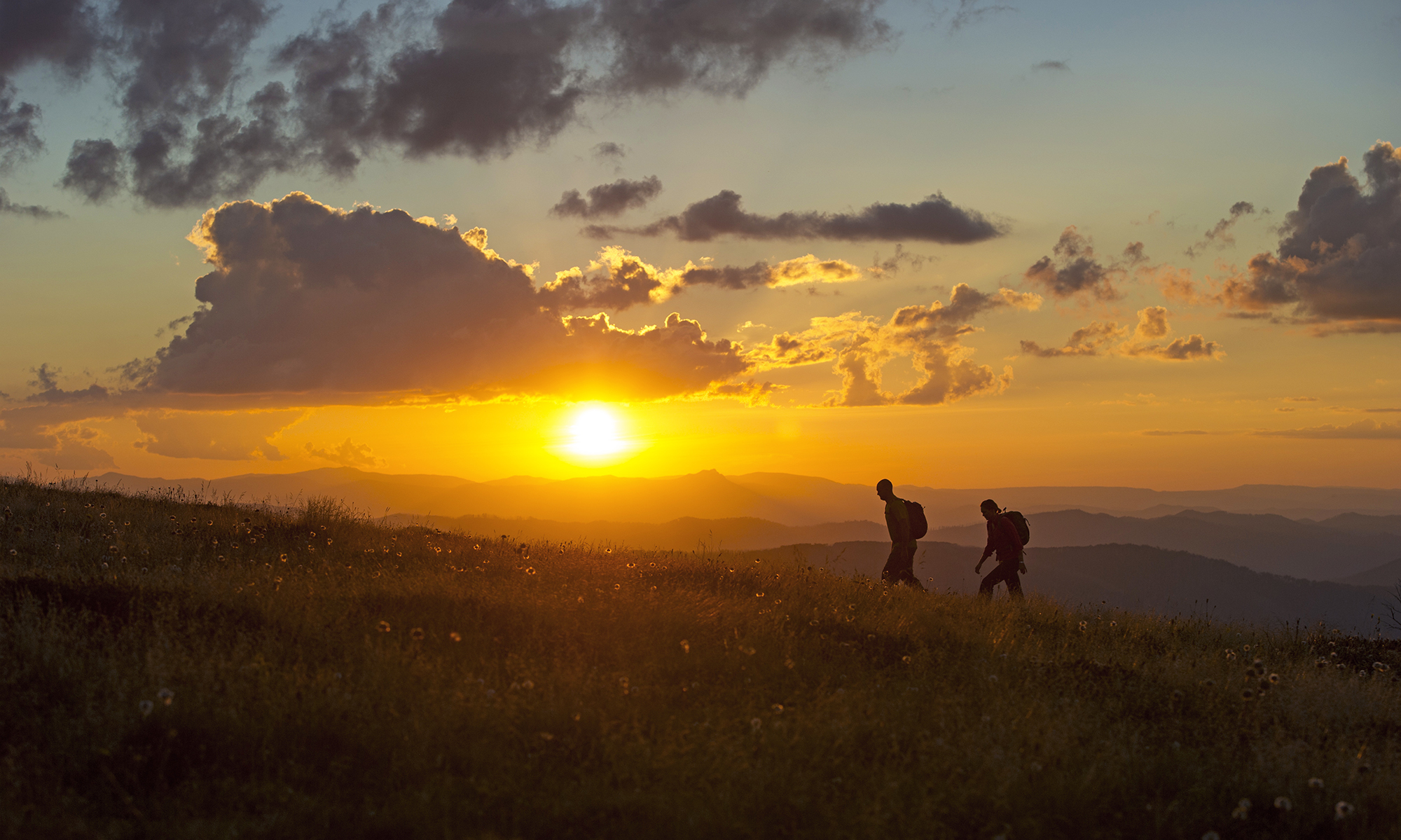 Five great walks in Victoria