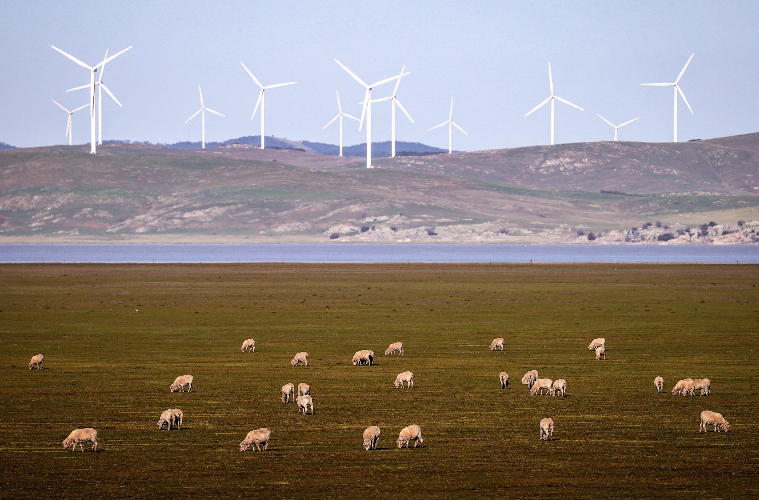 Dr Karl: Renewables and agriculture can coexist