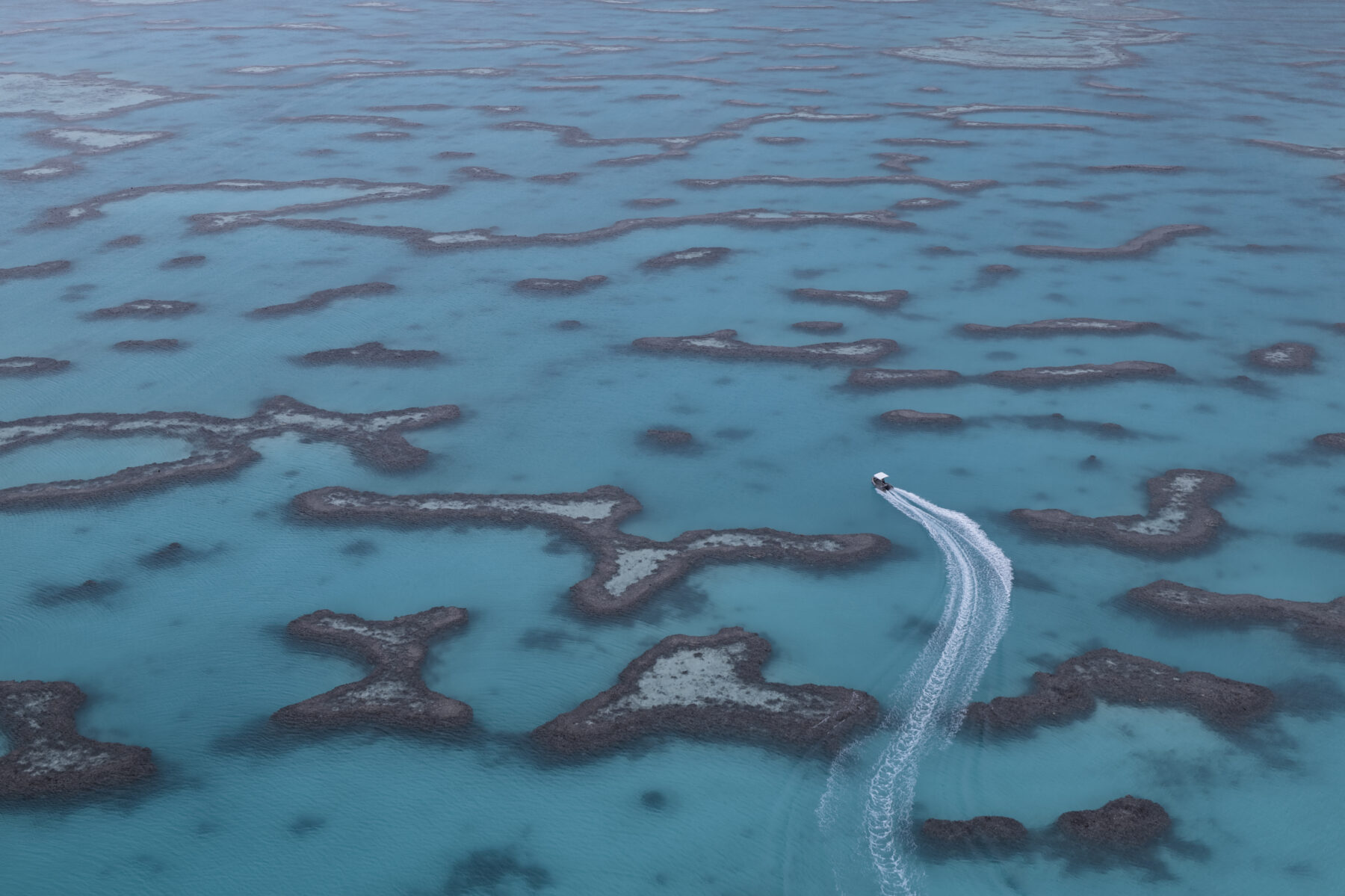 a aerial view of the great barrier reef