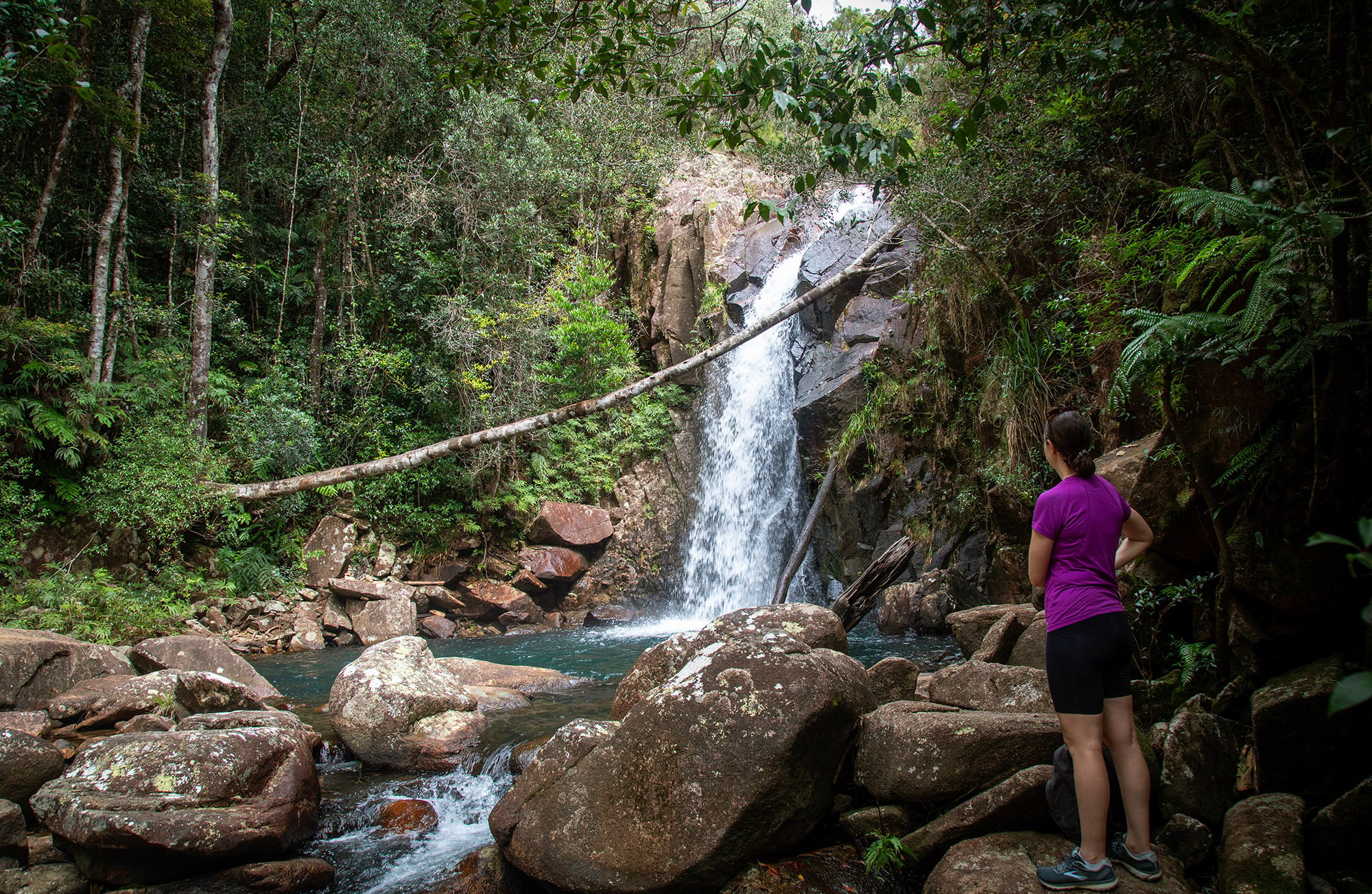 Image for article: Gone troppo: Hike and bike Townsville and Magnetic Island