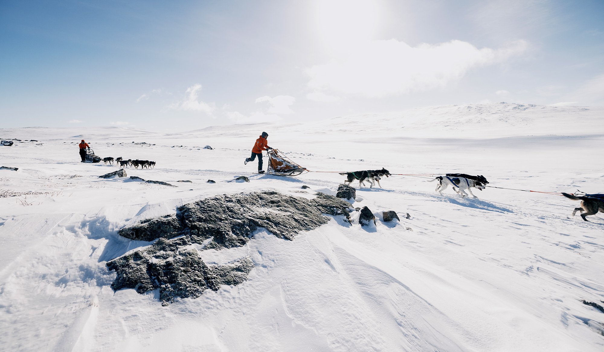 Image for article: Fast dogs and a frozen land: The Fjällräven Polar Challenge