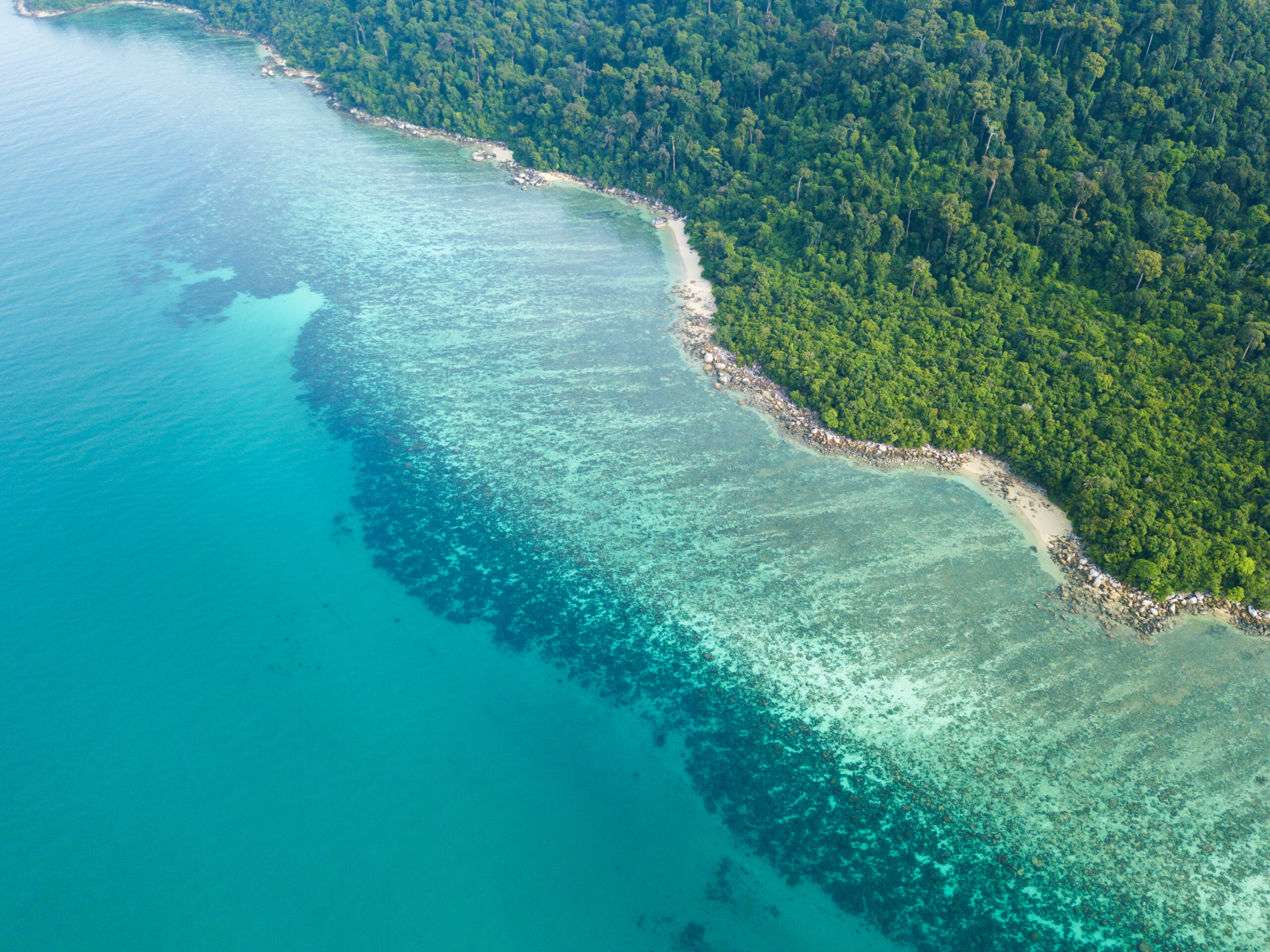 Defining Moments in Australian History: Protecting the Great Barrier Reef