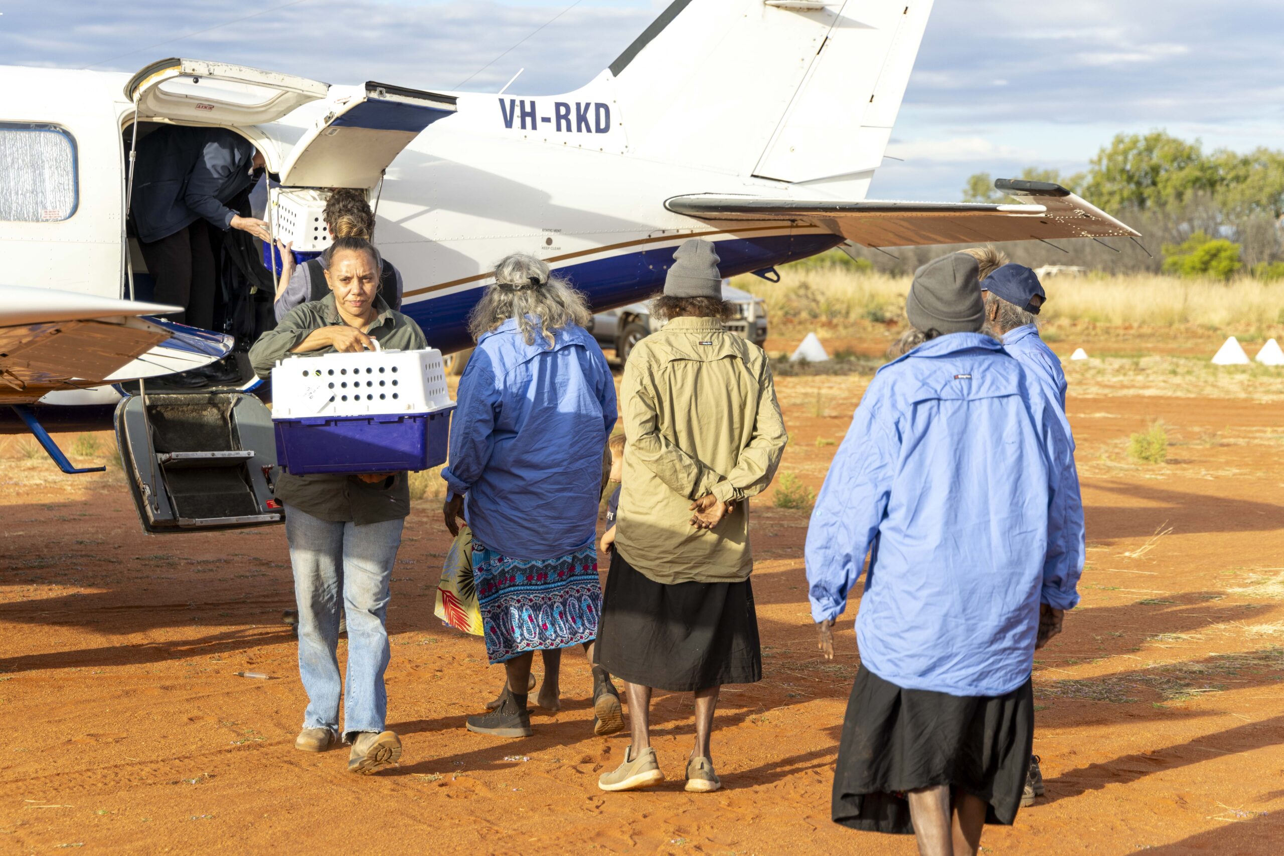 Possums welcomed back to Country in Red Centre