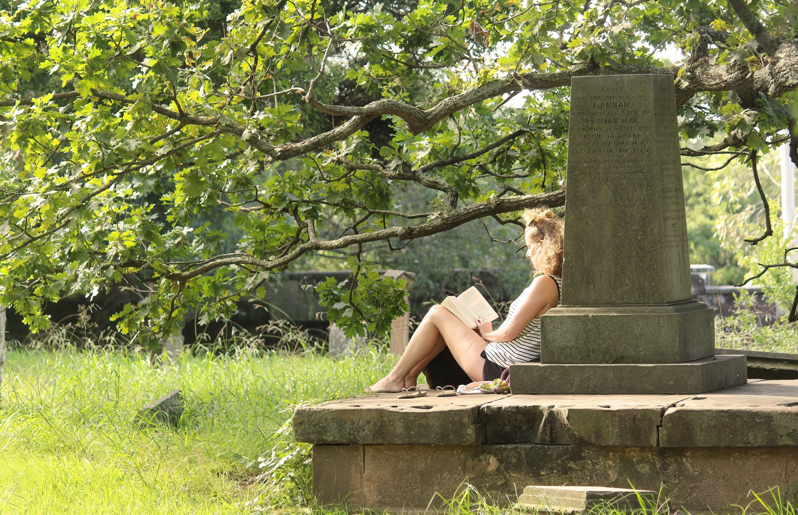 Image for article: Plot twist: giving old graveyards new life as parks can improve cities