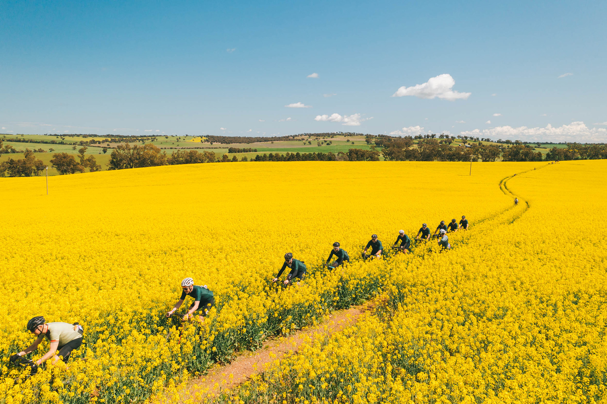 Image for article: Best of both worlds: Riding Wagga’s Gears + Beers cycling festival