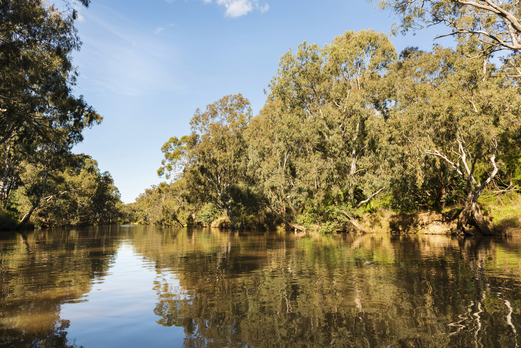 The Australian river legally recognised as a ‘living entity’