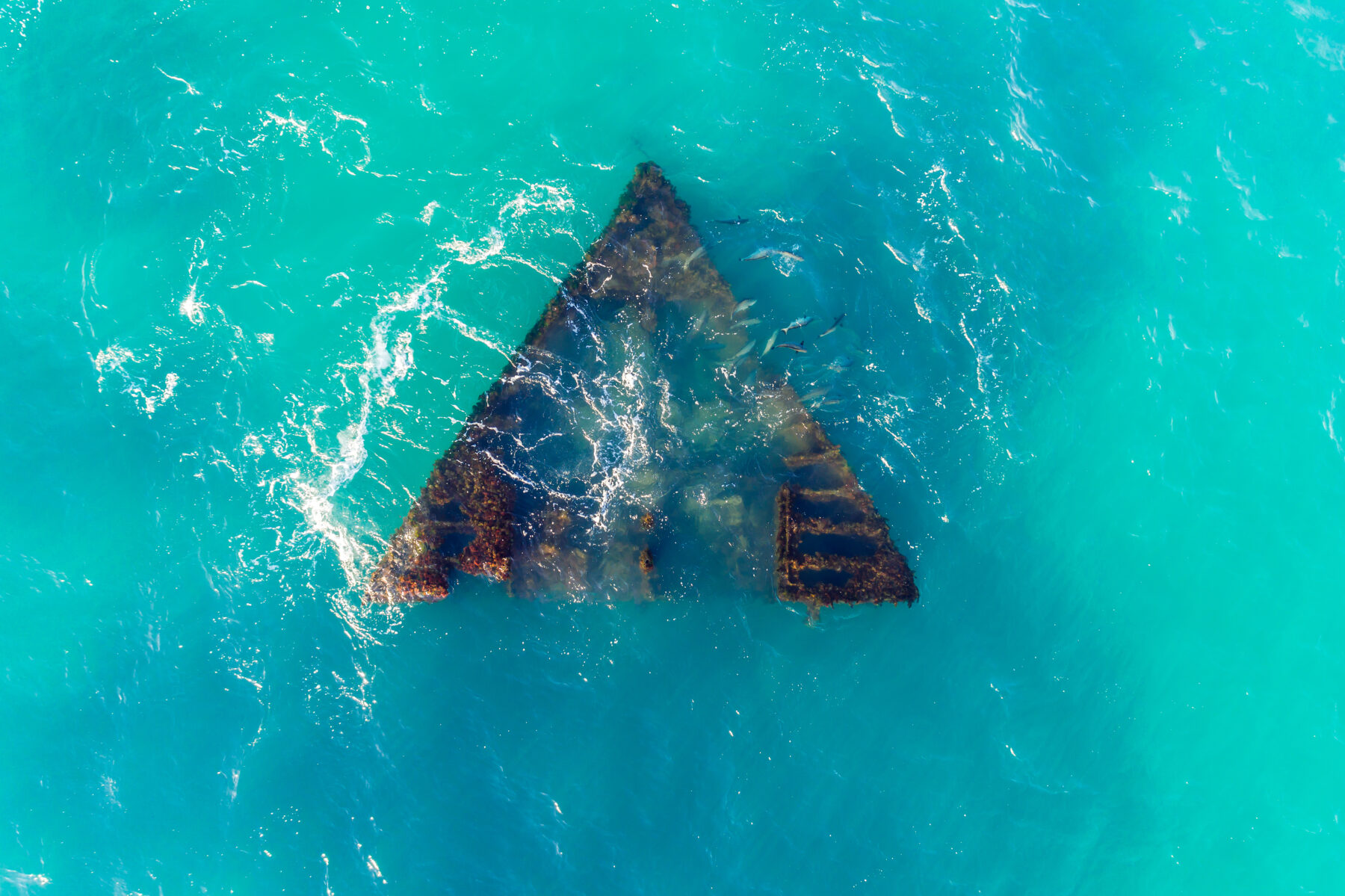 The curse of the Alkimos shipwreck - Australian Geographic