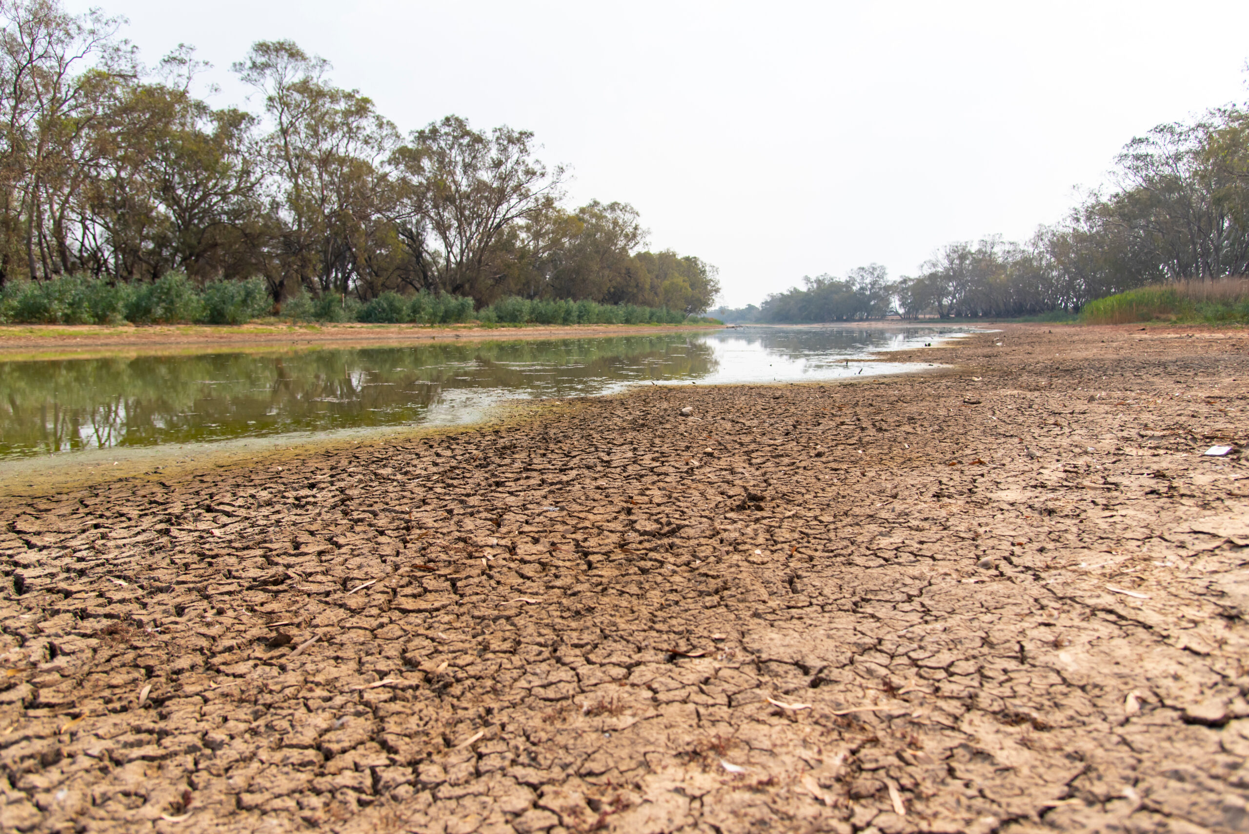 Image for article: State of the Climate 2024: How is Australia faring?