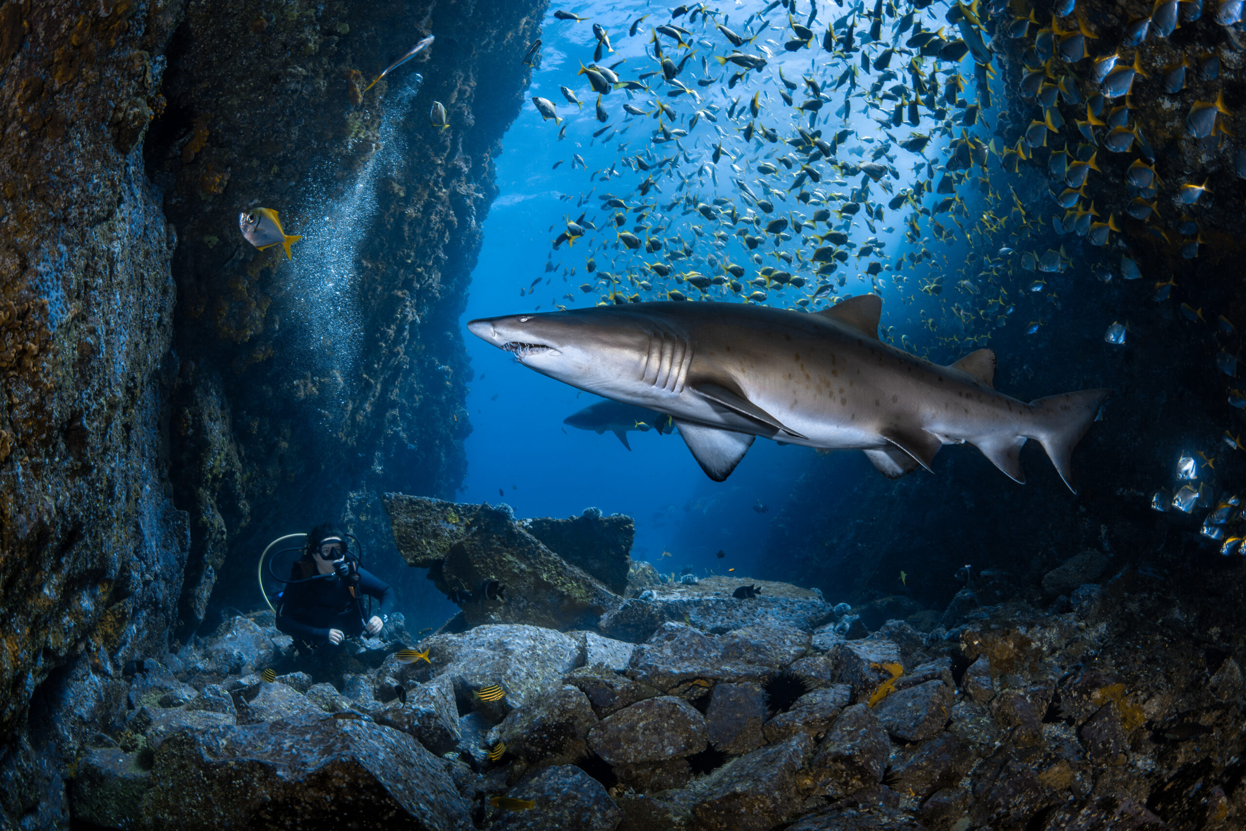 Image for article: Underwater treasure