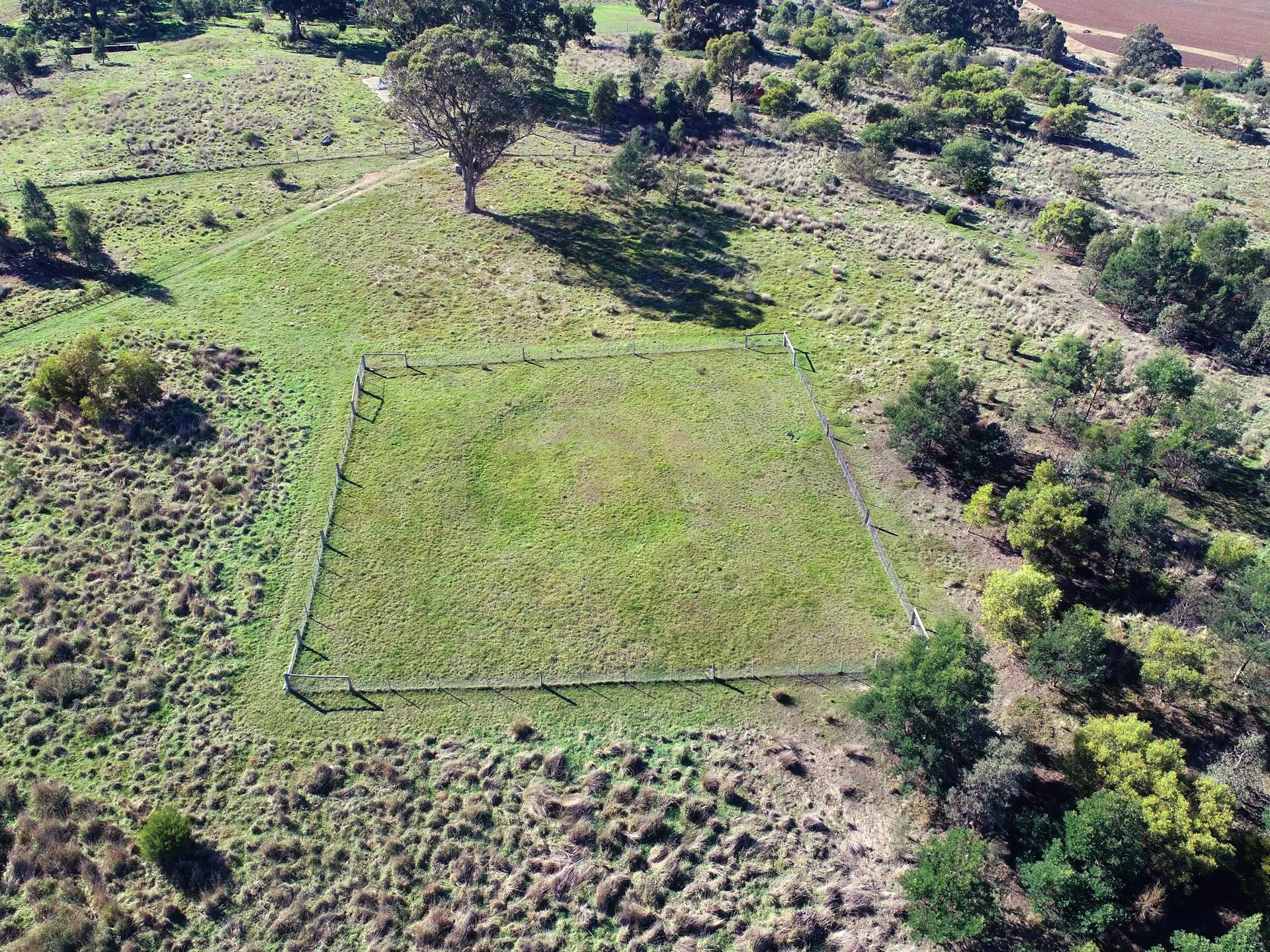 Image for article: ‘Rings of mystery’ excavation reveals rich Aboriginal history